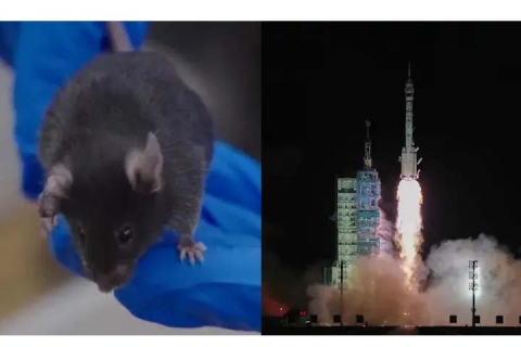 चीनं अन्तरिक्ष स्टेशनय् छ्वंगु प्यम्ह छुँ लिहावल