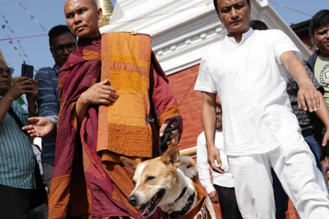 भियतनामी भिक्षुपाखें बौद्धनय्, स्वयम्भूइ शान्ति पदयात्रा 