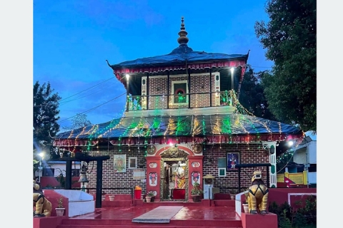 थौं पाल्पाय् ऐतिहासिक भगवती जात्रा पिकाइगु